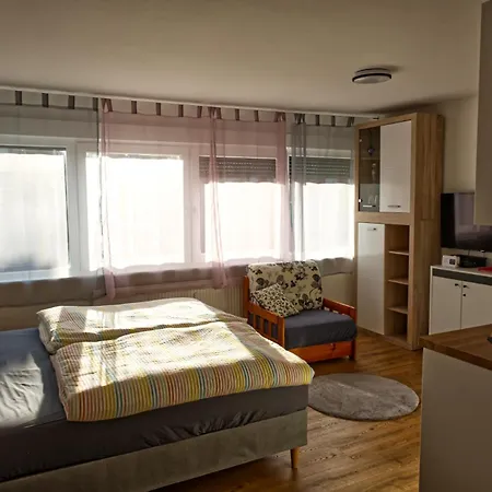 Apartment Fewo-misterek Naehe Grosser Garten Dresden