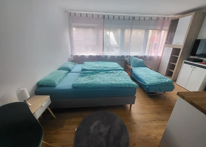 Apartamento Fewo-misterek Naehe Grosser Garten Dresde